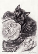 Pencil portrait of Tom's cat by David Blackaller